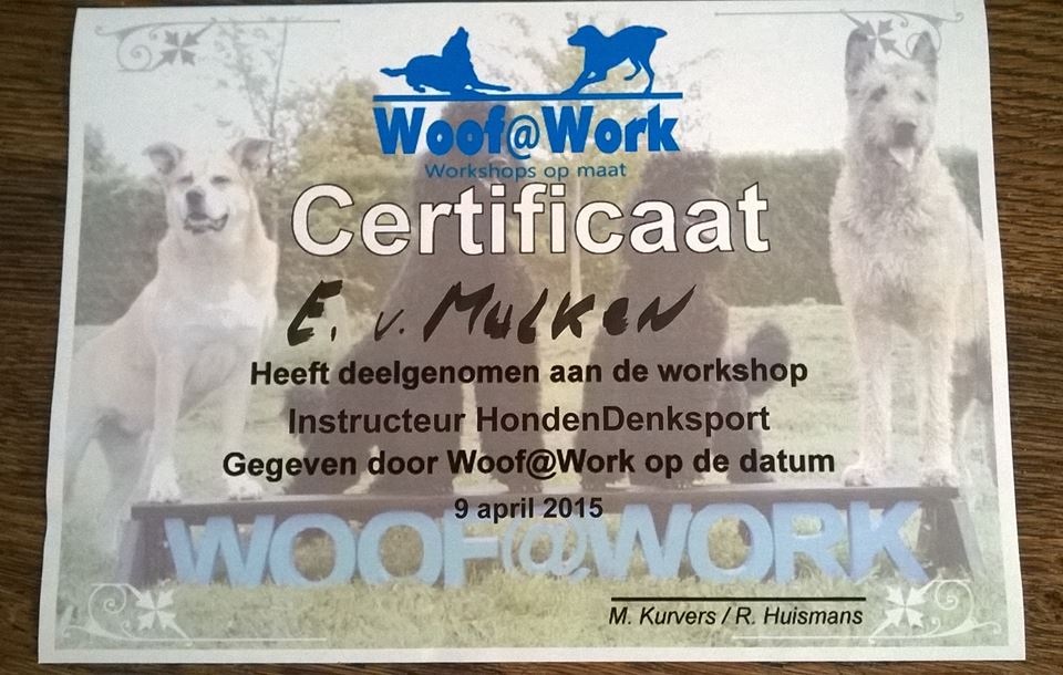 certificaat Instructeur Hondendenksport