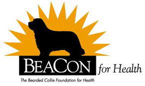 logo Beacon for health