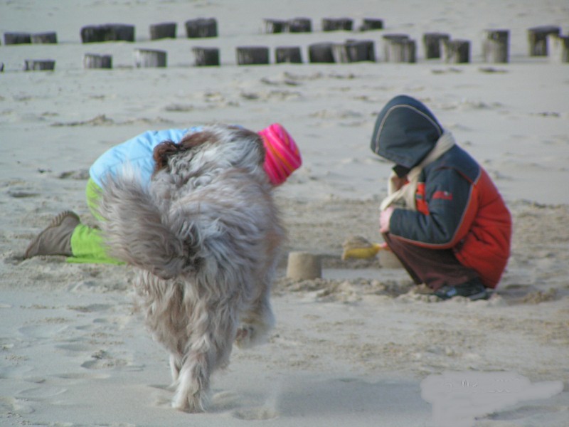 Met de kids op t strand kastelen