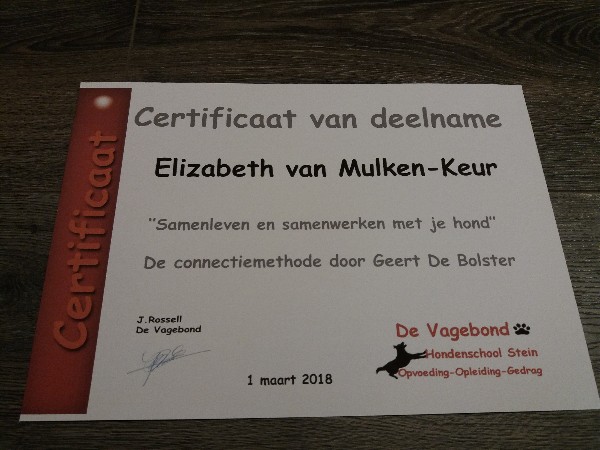 certificaat GdB