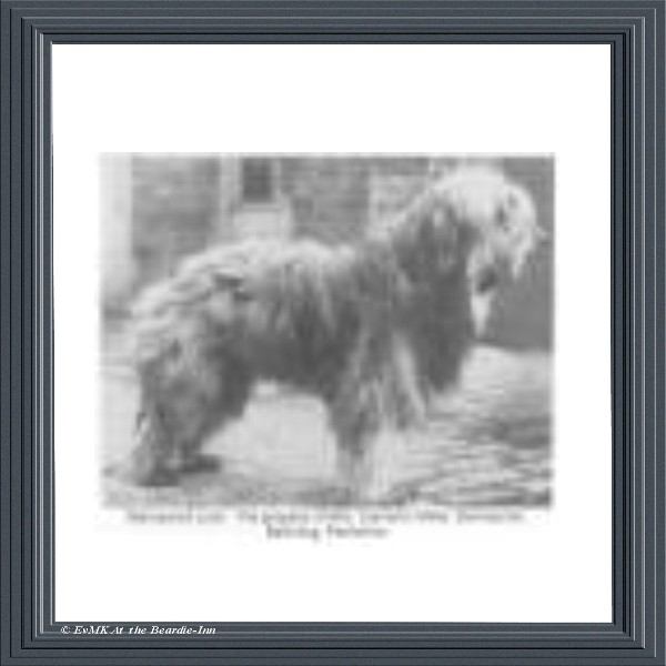 geschiedenis bearded collie;balmacneil Jock